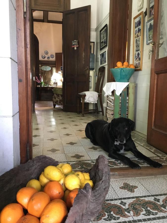 Casa Ruchi 1893 Bed & Breakfast Tigre Eksteriør bilde